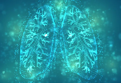 Illustration of the lungs.